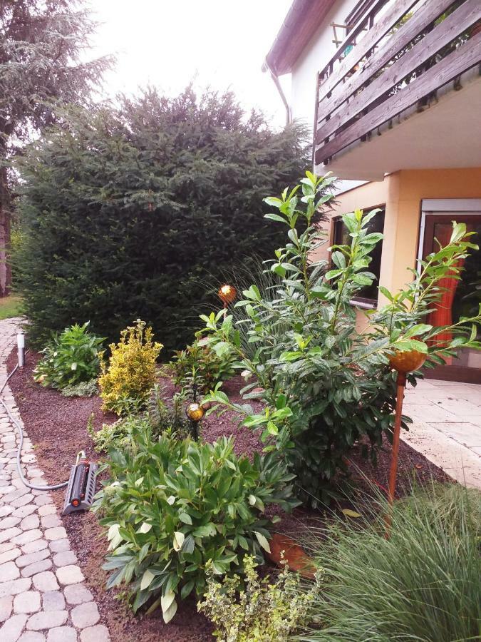Ferienwohnung Im Rottal Oberrot Экстерьер фото